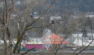 Ferris Wheel (detail) Ferris Wheel (detail)