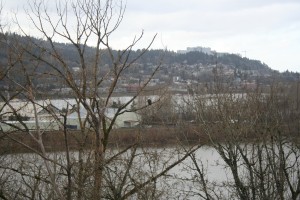 Bald Eagle with OHSU Bald Eagle with OHSU