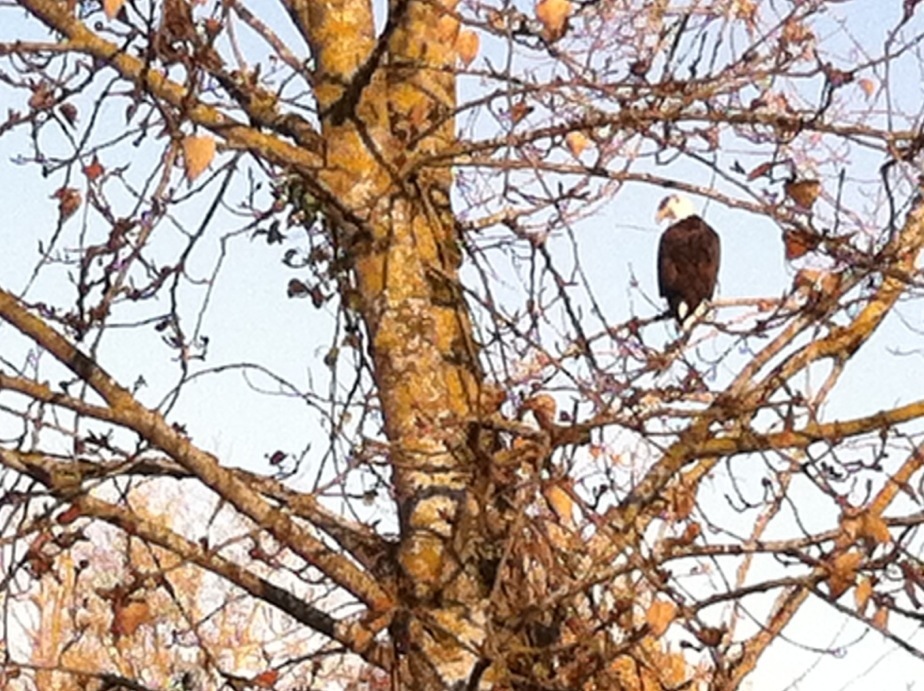 20111201-090428.jpg