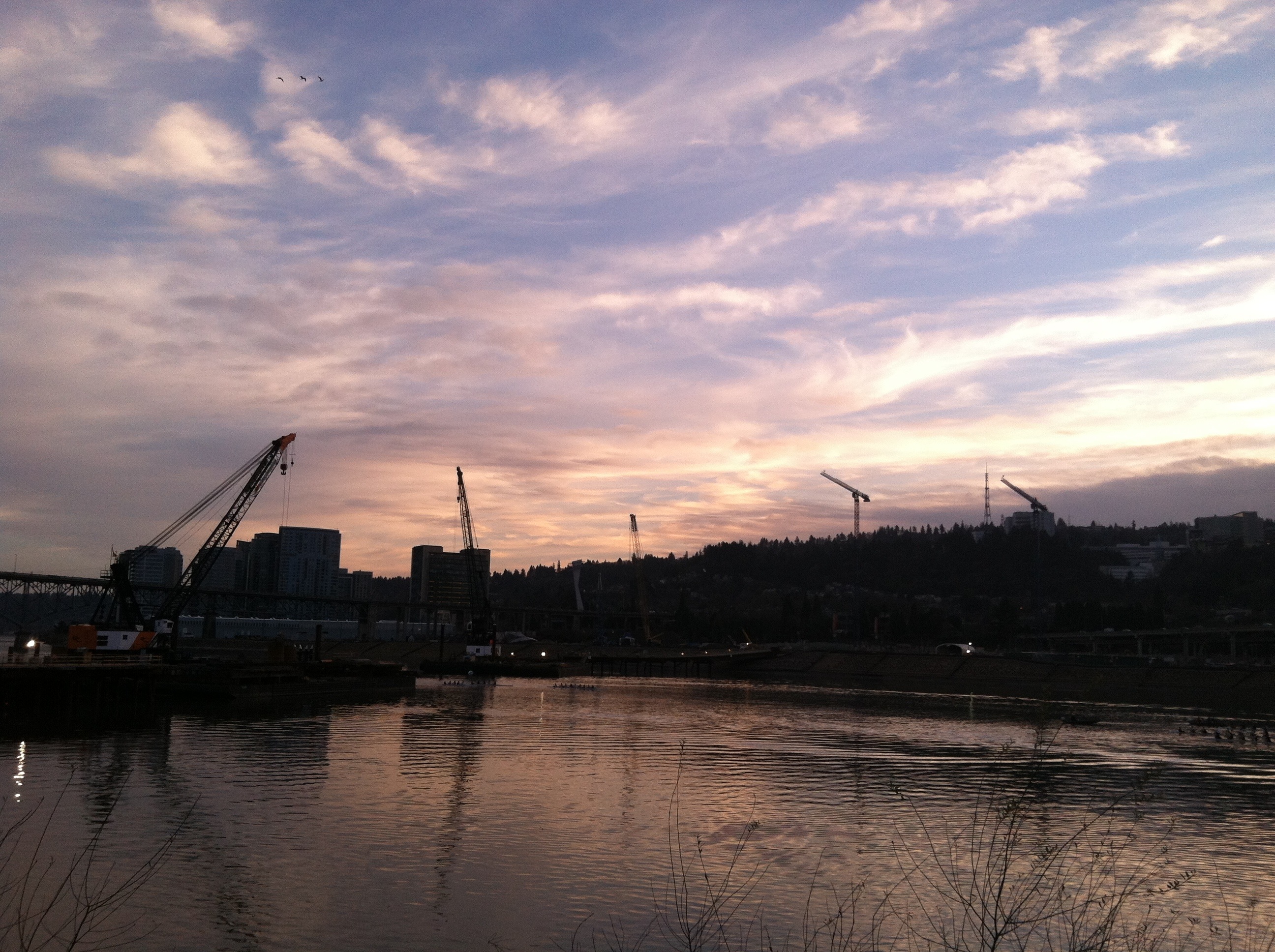 20120310-100216.jpg