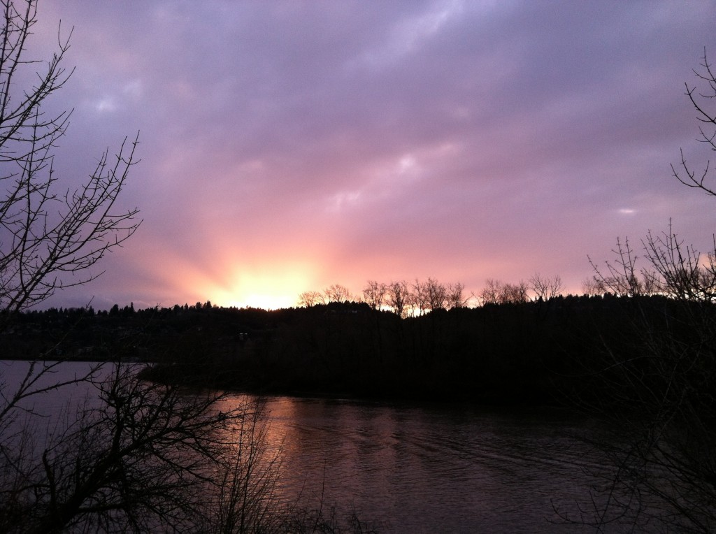 Near Oaks Park