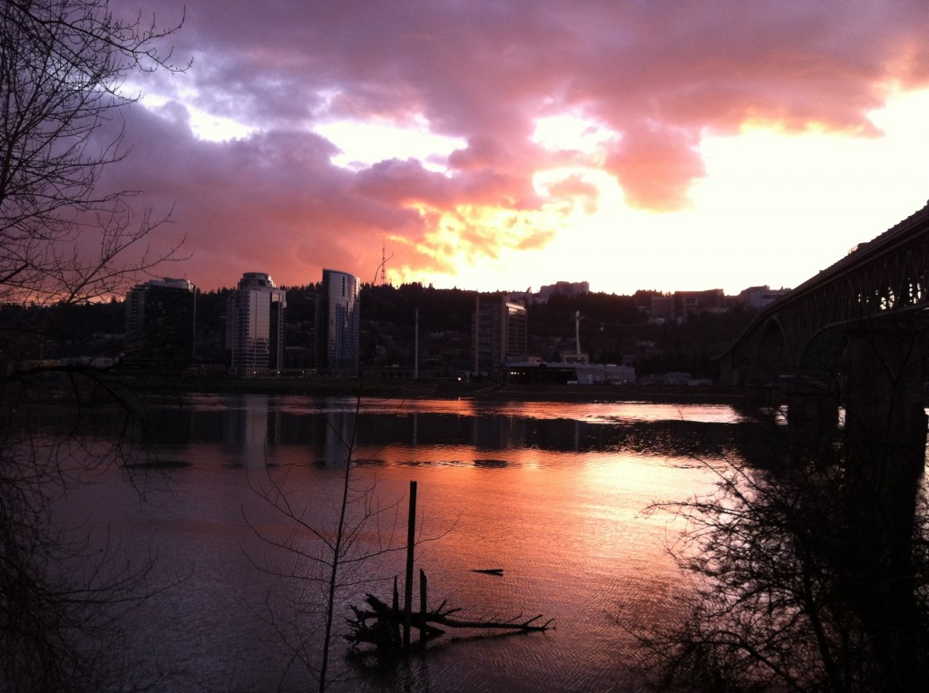 South Waterfront